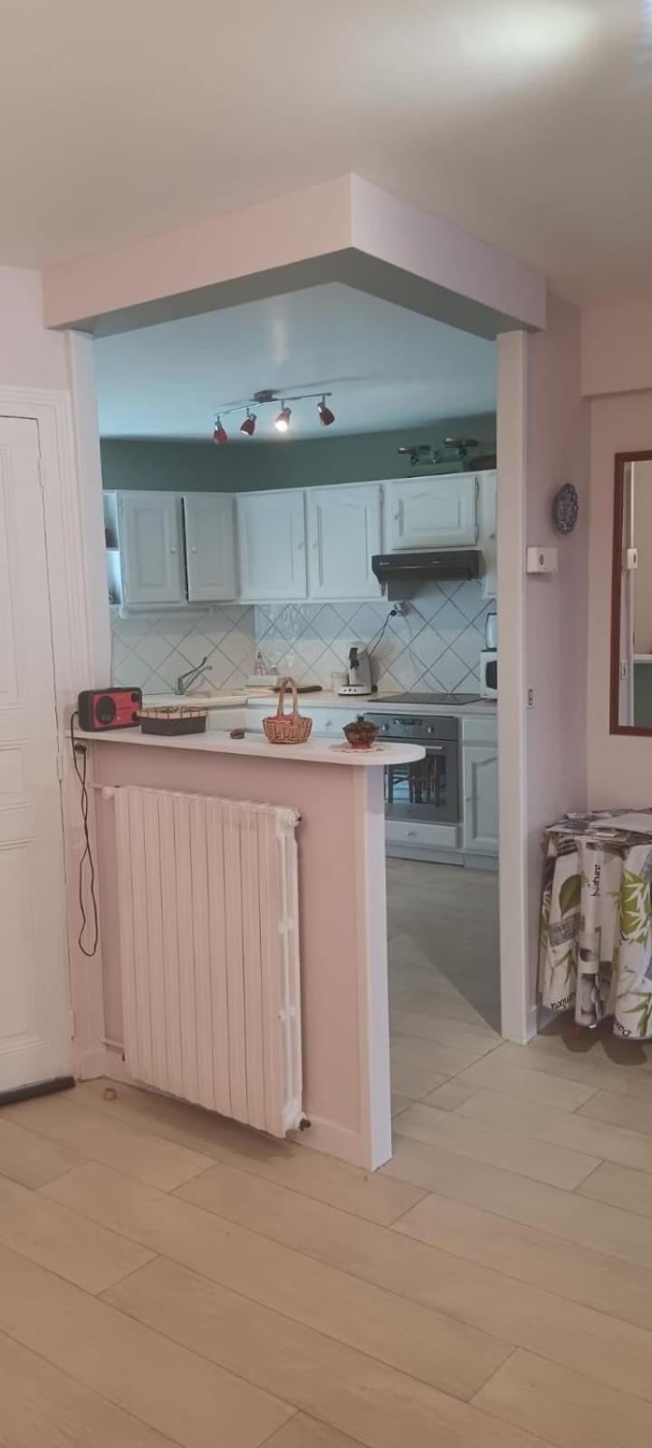 Appartement 120 M² Duplex Coeur Historique Au Calme Le Puy-en-Velay Dış mekan fotoğraf