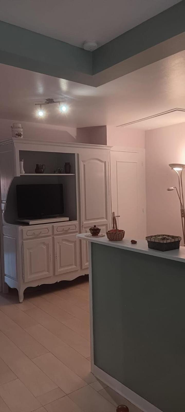 Appartement 120 M² Duplex Coeur Historique Au Calme Le Puy-en-Velay Dış mekan fotoğraf